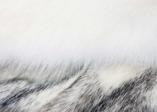 Купить  Шуба норковая белая с воротником из полярной лисы Этель (арт. 2146) по самой низкой цене
